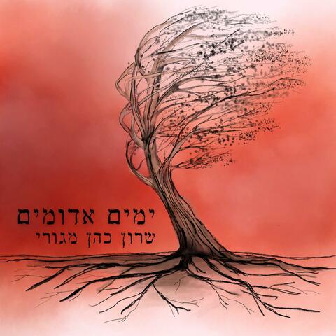 ימים אדומים album art