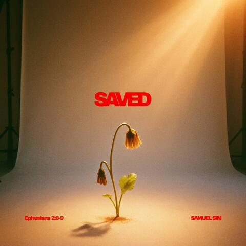 SAVED album art