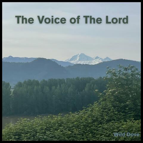 The Voice of The Lord album art