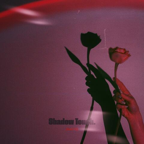 Shadow Touch. album art