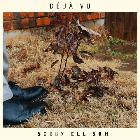 Déjà Vu album art