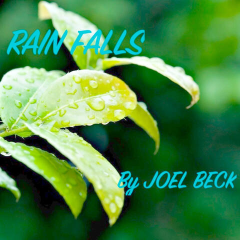 RAIN FALLS album art