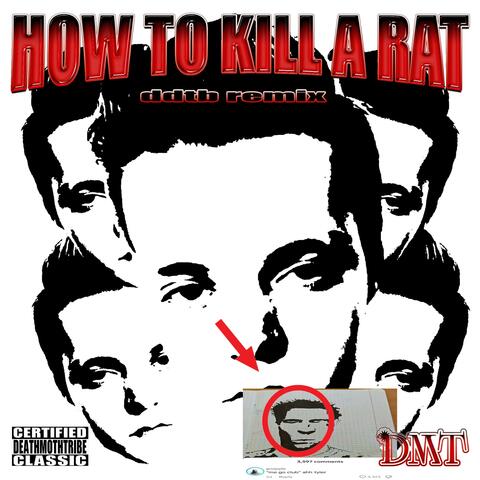 HOW TO KILL A RAT (IN LESS THAN 10 EASY STEPS) (feat. knowhere. never.) [ddtb Remix] album art