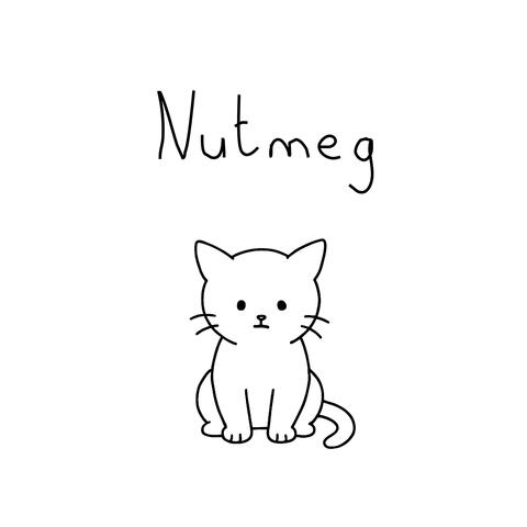 Nutmeg album art