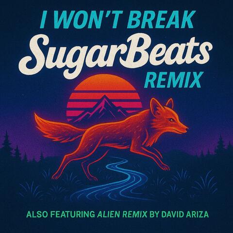 I Won't Break album art