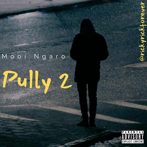 Pully 2 album art