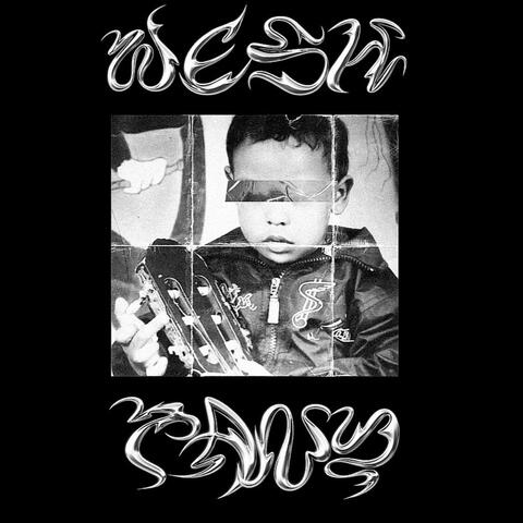WESH TANY album art