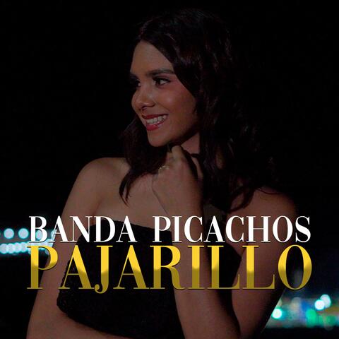 Pajarillo album art