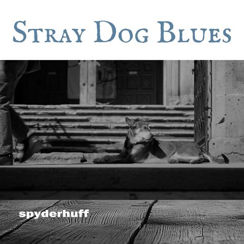 Stray Dog Blues album art