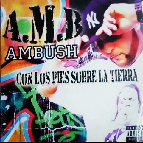 Con Los Pies Sobre La Tierra album art