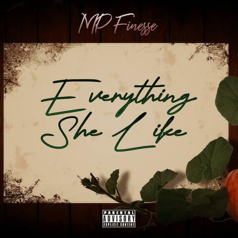 Everything she like album art