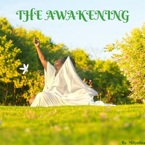The Awakening album art