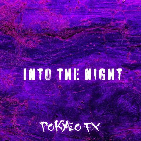 Into The Night album art