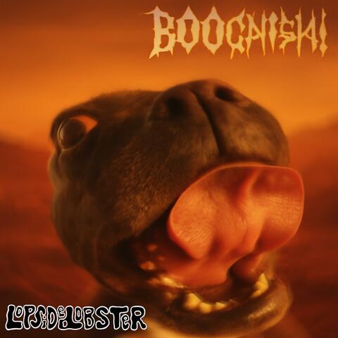 BOOGNISH! album art
