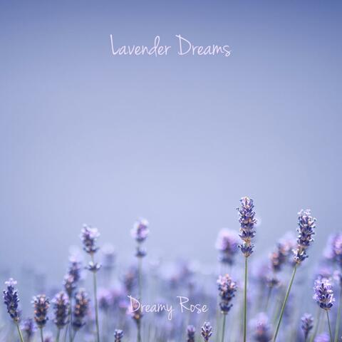 Lavender Dreams album art