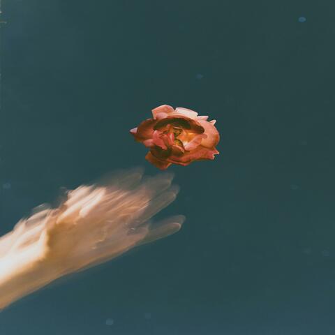 wants & needs. album art