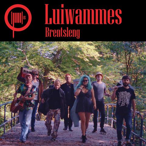 Luiwammes (Radio Edit) album art