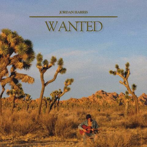 WANTED album art