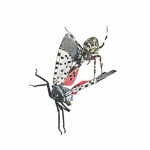 We're Only Getting Older album art