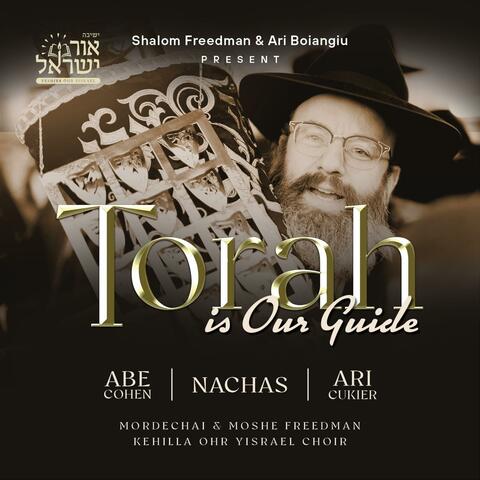 Torah is Our Guide (feat. Abe Cohen) album art