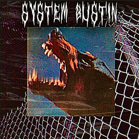 System Bustin album art