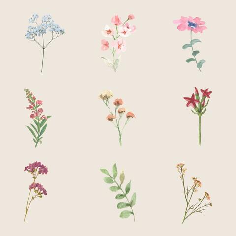 Flowers album art