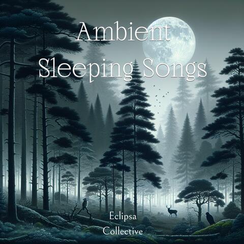 Ambient Sleeping Songs album art
