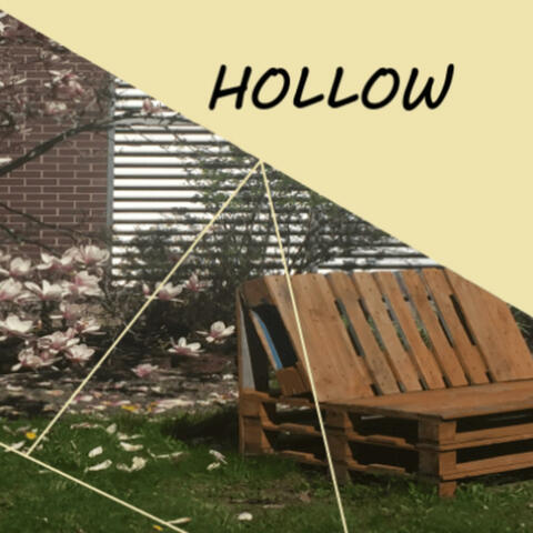 Hollow album art