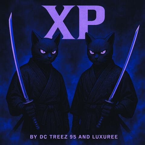 X (Boost) (feat. Luxuree) album art