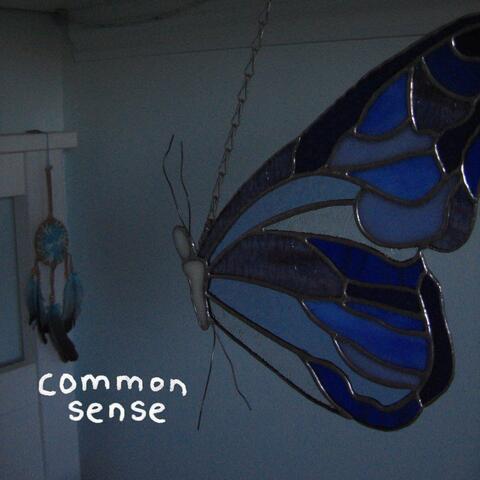 common sense album art