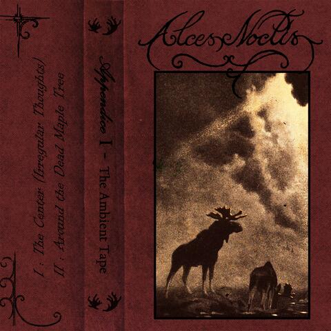 Appendice I : The Ambient Tape album art