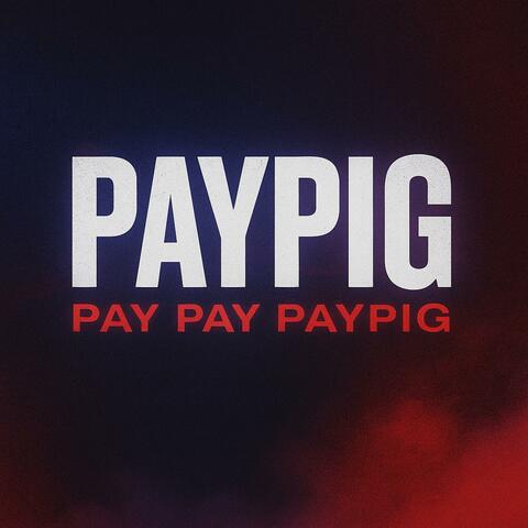 Paypig album art