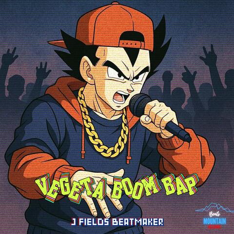 Vegeta Boom Bap Beat album art