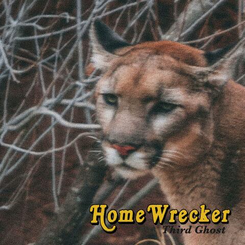 Home Wrecker album art