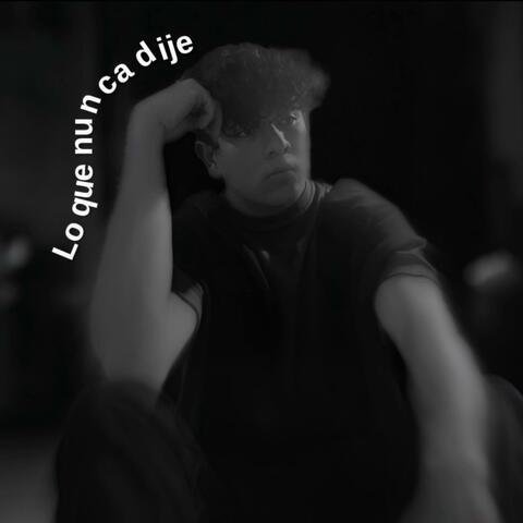 Lo que nunca dije album art