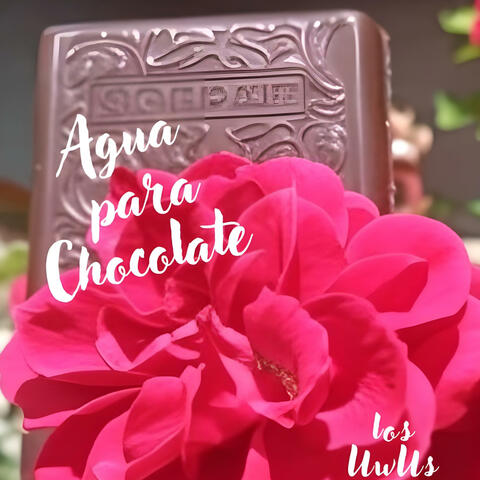 Agua para Chocolate album art