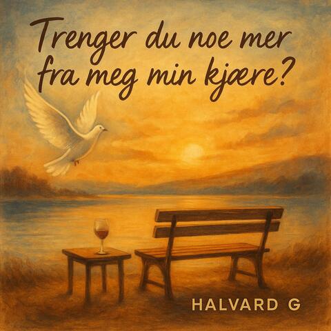 Trenger du noe mer fra meg min kjære ? album art