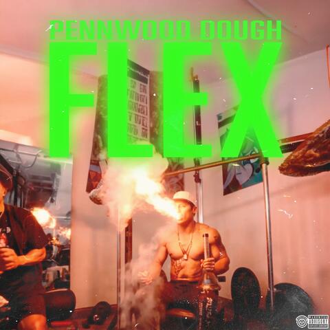 Flex album art