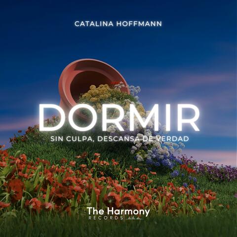 Dormir sin culpa, Descansa de verdad album art