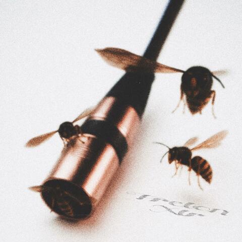 FRELON XLR album art