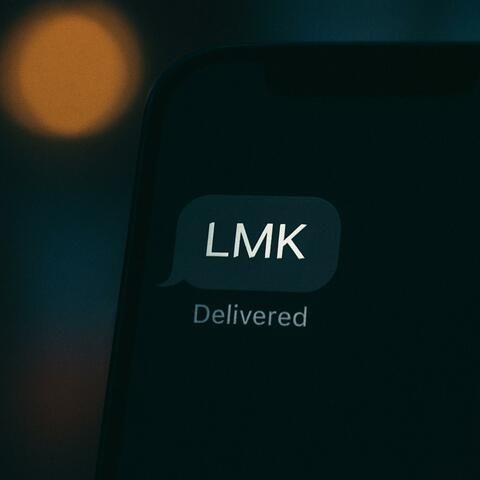 LMK album art