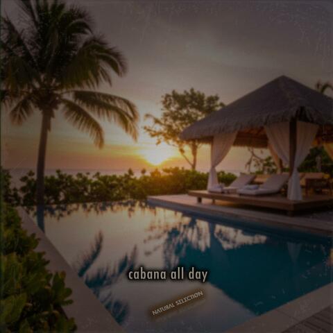 cabana all day album art
