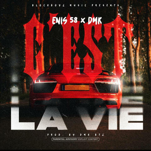 C'est La Vie (feat. DMK) album art