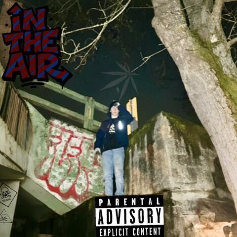 In The Air album art