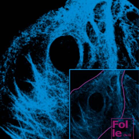Folle (lv.1) (feat. pollokraken) album art