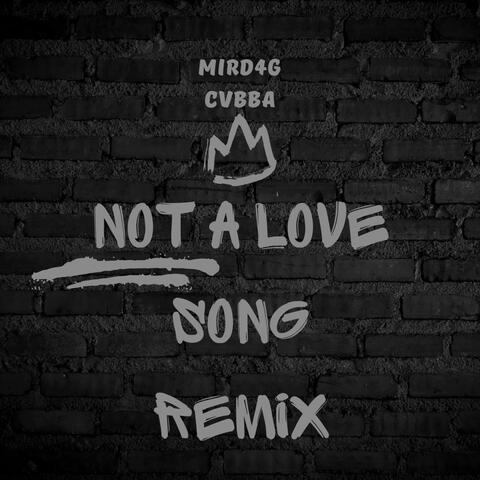 Not a Love Song (feat. Cvbba) [Remix] album art
