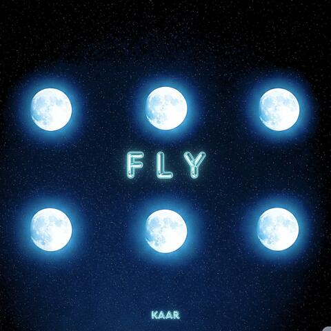 FLY album art