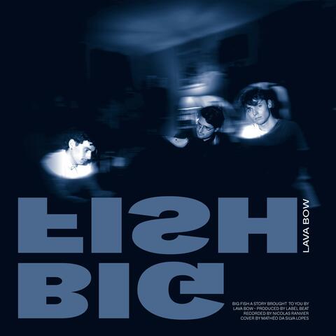 Big Fish album art