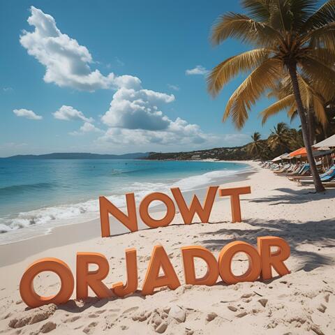 No Hurricane (feat. Orjador) [Nowt Edit] album art