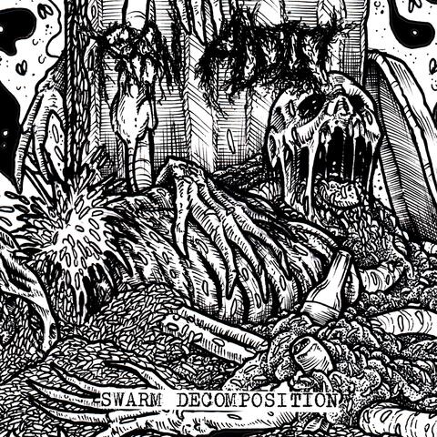 SWARM DECOMPOSITION album art